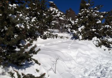 Randonnée Raquettes à neige Saint-Étienne-les-Orgues - 210108lure - Photo