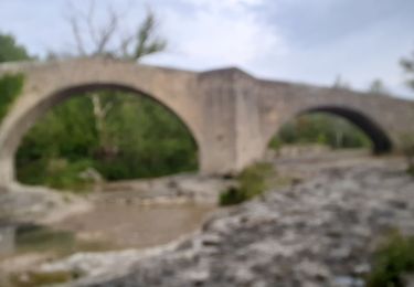 Randonnée Marche Mane - MANE  , pont romain  , chapelle S Jean et chapelle Châteauneuf  o l s  - Photo