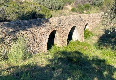 Trail sport Roquebrune-sur-Argens - CARMEL ROSUEBRUNE - Photo