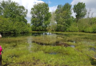 Trail Walking Milly-la-Forêt - Coquibus - Photo