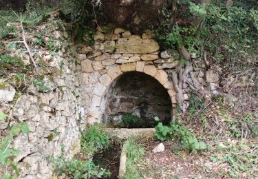 Trail Mountain bike Badefols-sur-Dordogne - badefol 5 et Molière  - Photo