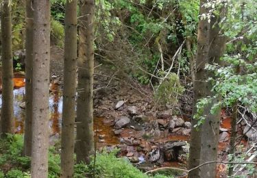 Tour Wandern Malmedy - Canyon des Trôs-Marets   - Photo