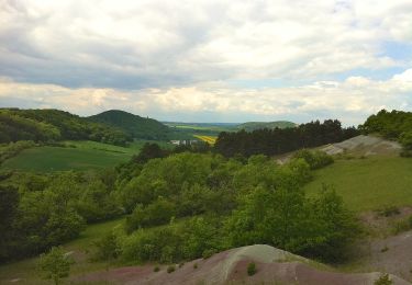 Percorso A piedi Arnstadt - Otto-Knöpfer-Weg - Photo