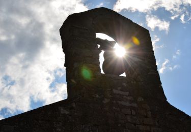 Tour Wandern Nans-les-Pins - Nans-les-Pins - Chapelle St Jean - Rougiers - Photo