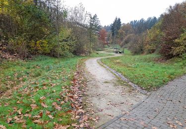 Trail On foot Unknown - Trier Wanderweg T3 (Weißhausbrunnen) - Photo