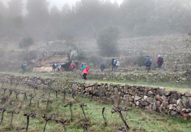 Trail Walking Ribes - Ribes-Saint André Lachamp-Le Coquou - Photo