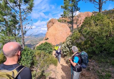 Trail Walking Saint-Raphaël -  Plateau d’Anthéor & le Pic du Cap Roux - Photo