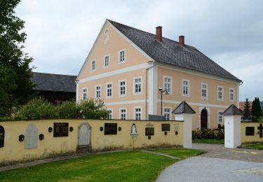 Tour Zu Fuß Wenigzell - Barbara-Sicharter-Weg - Photo