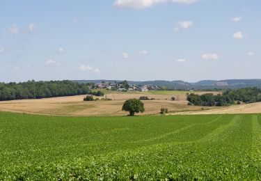 Excursión Senderismo Anhée - De Haut-le-Wastia à Salet - Photo