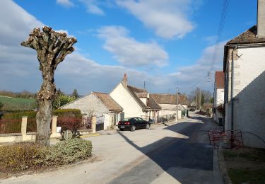 Percorso Marcia Courtois-sur-Yonne - Courtois 230307 - Photo