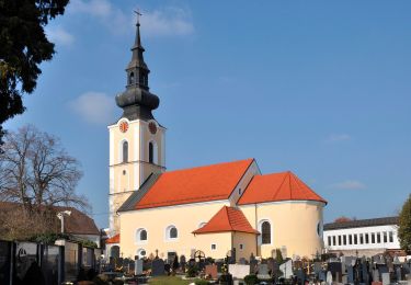 Tour Zu Fuß Leonding - Stadtwanderweg Leonding - Photo