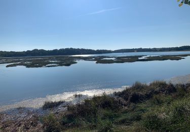 Randonnée Marche Plougoumelen - Randonnée le Traon - Photo