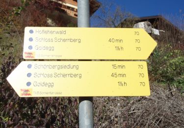 Percorso A piedi Goldegg - Goldegg-Schwarzach über Buchenkopf - Photo