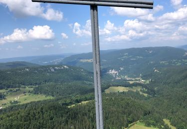 Randonnée Marche  - Mont Fier - retour par la Croix de la Teppe - Photo