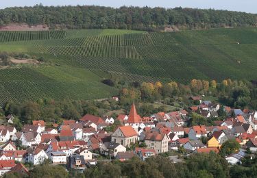 Trail On foot Bretzfeld - Herrenhölzle Rundweg 2 - Photo