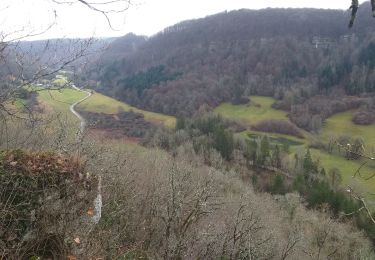 Tour Wandern Ornans - Bonnevaux du bas - Photo