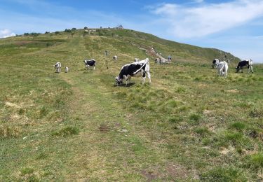 Tocht Stappen La Bresse - Le Hohneck et ses lacs d'altitude - Photo