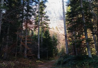 Randonnée Marche Claix - Le plateau du Peuil - Photo