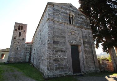 Randonnée A pied Vicopisano - Vicopisano - Campomaggio - San Jacopo - La Torre - Col di Cincia - Photo