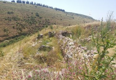 Percorso A piedi מועצה אזורית עמק יזרעאל - קניון הבזלת - נחל תבור - Photo