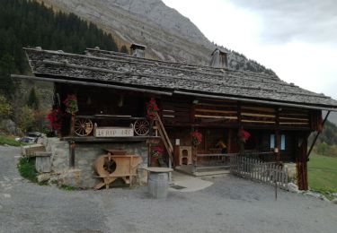 Tocht Stappen Le Grand-Bornand - Lac de LESSY boucle - Photo