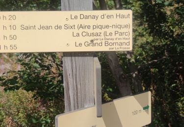 Trail Walking Le Grand-Bornand - Rando Tête du Danay - Photo