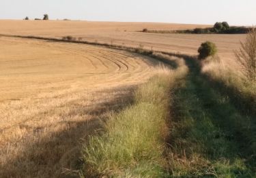 Randonnée A pied Frocourt - Petite boucle de Frocourt - Photo