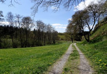 Trail On foot Rüthen - Kallenhardt A8 - Photo