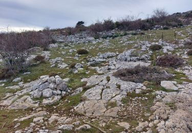 Trail Walking Gourdon - gourdon derniere - Photo