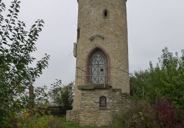 Tocht Te voet Albisheim (Pfrimm) - Zellertalweg Albisheim - Photo