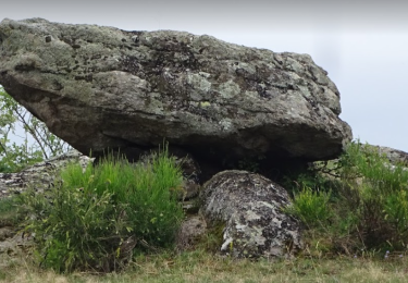 Excursión Senderismo Olloix - de Olloix à Champeix - Photo