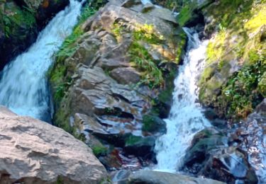 Trail Walking Le Tholy - cascades et hêtre de la vierge  - Photo