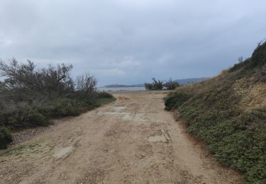 Tour Wandern Narbonne - Port la Nautique  - Photo