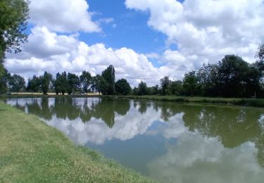 Tour Wandern Vernoil-le-Fourrier - Vernantes  - Photo