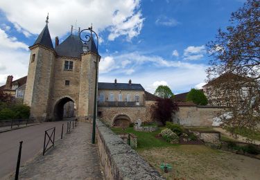 Excursión Bici de carretera Paron - 142 S85 Villeneuve sur Yonne-01 - Photo