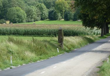 Excursión A pie Durbuy - Les Mégalithes (8) - Photo