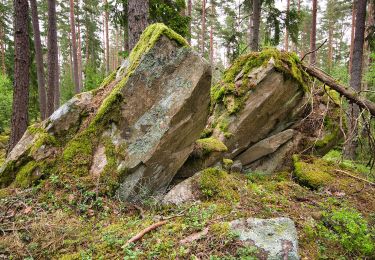 Trail On foot  - Trestugespåret - Photo