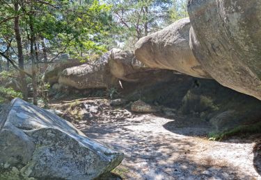 Trail Walking Fontainebleau - Fontainebleau sentier Denecourt 7 ouest prolongé  - Photo