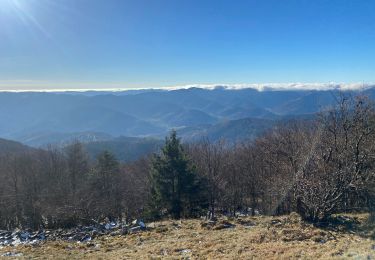 Tour Wandern Lautenbachzell - 23 11 24  - Photo