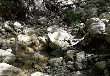 Randonnée Marche Le Châtelard - les maîtres du mont - Photo