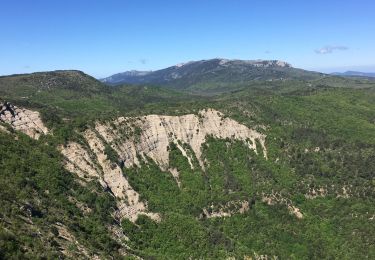 Trail Walking Mazaugues - Barres de Mazaugues  - Photo