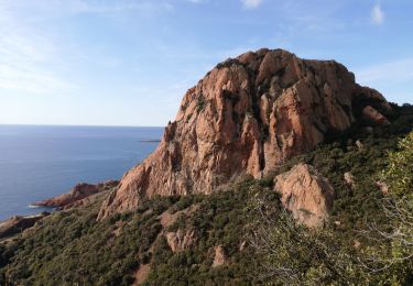 Trail Walking Saint-Raphaël - du cap Roux  au pic du cap  Roux - Photo