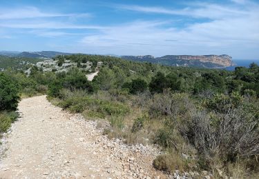 Tour Wandern Marseille - Rando à l'En Veau - Photo