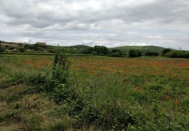 Tocht Stappen La Capelle-et-Masmolène - gg Clo Masmolène  - Photo