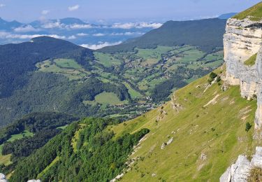 Tocht Stappen Aillon-le-Jeune - MARGERIAZ-02-08-24 - Photo