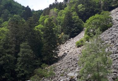 Tour Wandern Le Valtin - Le Sentier des Roches - Photo