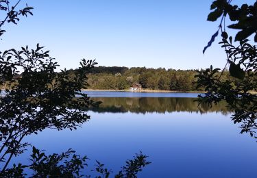 Tour Wandern Le Frasnois - Pic de l'aigle et les 4 lacs - Photo