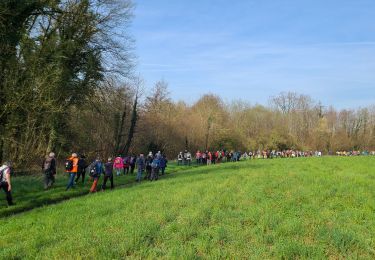 Trail Walking Bourg-et-Comin - Bourg et Comin du 21-03-2024 du matin - Photo
