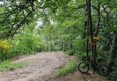 Percorso Mountainbike Claix - Le Rocher du Chatelard en boucle par le Peuil. - Photo