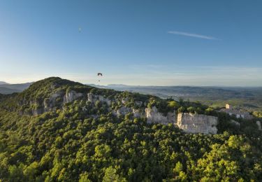 Randonnée Marche Sainte-Anastasie-sur-Issole - la chapelle et la barre de saint -Quinis - Photo